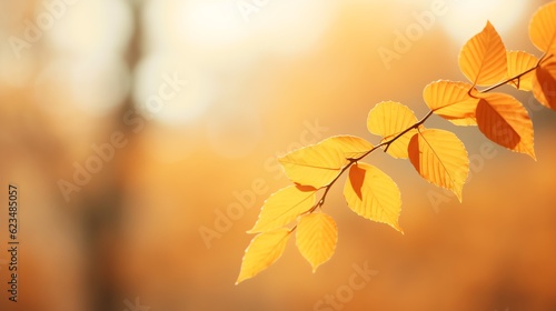 Autumn dry leaves for background, illustration for product presentation and template design.