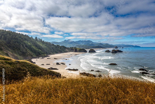 Fototapeta Naklejka Na Ścianę i Meble -  Canon beach in the Ecola State Park, Oregon USA
