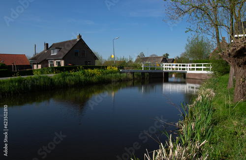 Landscape green meadow and canal with clear water