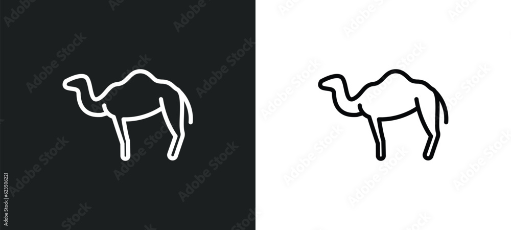 dromedary icon isolated in white and black colors. dromedary outline vector icon from religion collection for web, mobile apps and ui. dromedary icon isolated in white and black colors. dromedary outline vector icon from religion collection for web, mobile apps and ui.