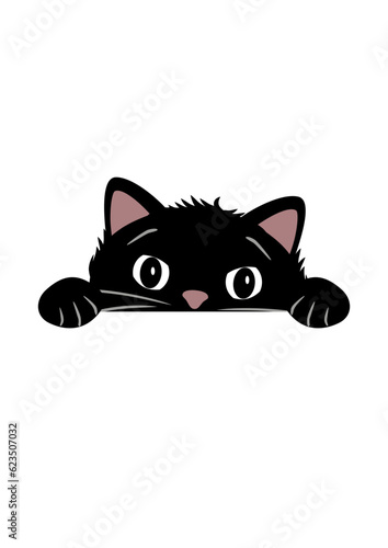 Peeping funny black cat