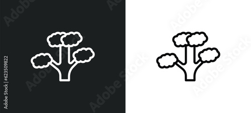 slippery elm tree icon isolated in white and black colors. slippery elm tree outline vector icon from nature collection for web, mobile apps and ui.