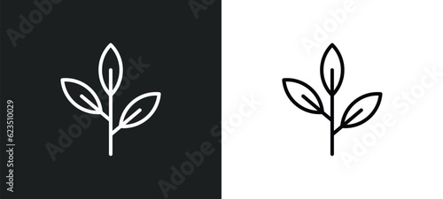 green tea icon isolated in white and black colors. green tea outline vector icon from nature collection for web  mobile apps and ui.
