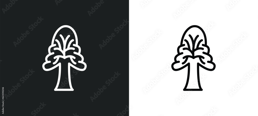 the oaks tree icon isolated in white and black colors. the oaks tree outline vector icon from nature collection for web, mobile apps and ui.