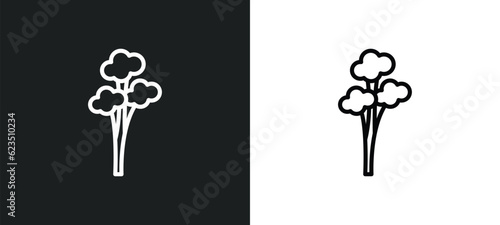 quaking aspen tree icon isolated in white and black colors. quaking aspen tree outline vector icon from nature collection for web, mobile apps and ui.