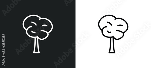 bigtooth aspen tree icon isolated in white and black colors. bigtooth aspen tree outline vector icon from nature collection for web, mobile apps and ui.