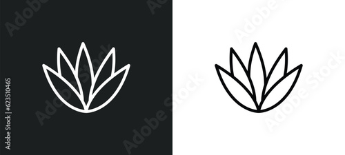 agave icon isolated in white and black colors. agave outline vector icon from nature collection for web, mobile apps and ui.