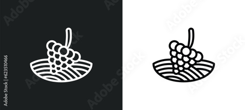 vineyard icon isolated in white and black colors. vineyard outline vector icon from nature collection for web, mobile apps and ui.