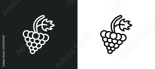 grapevine icon isolated in white and black colors. grapevine outline vector icon from nature collection for web, mobile apps and ui.