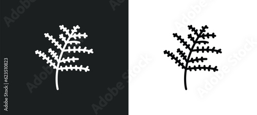 cypress leaf icon isolated in white and black colors. cypress leaf outline vector icon from nature collection for web, mobile apps and ui.