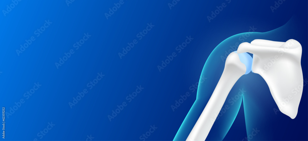 Human shoulder bone behind and joint cartilage side on blue background with copy space for text. Human skeleton anatomy healthy. Medical health care science. X ray film concept. Realistic 3D vector. Human shoulder bone behind and joint cartilage side on blue background with copy space for text. Human skeleton anatomy healthy. Medical health care science. X ray film concept. Realistic 3D vector.