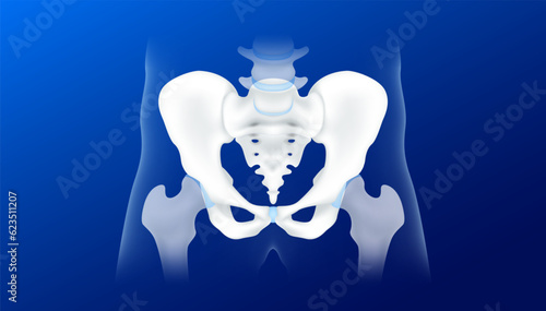 Human pelvis or hip bone healthy and joint cartilage. Anatomical skeleton isolated on blue background. Realistic 3d vector illustration. Health care, Medical X ray film concept.
