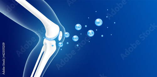 Vitamins minerals calcium zinc and magnesium absorbed into the bone cartilage. Healthy human skeleton anatomy isolated on blue background. Care bone knee joint. Realistic 3D vector.
