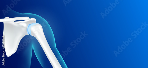 Human shoulder bone front and joint cartilage side on blue background with copy space for text. Human skeleton anatomy healthy. Medical health care science. X ray film concept. Realistic 3D vector.