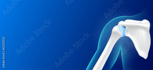 Human shoulder bone behind and joint cartilage side on blue background with copy space for text. Human skeleton anatomy healthy. Medical health care science. X ray film concept. Realistic 3D vector. photo