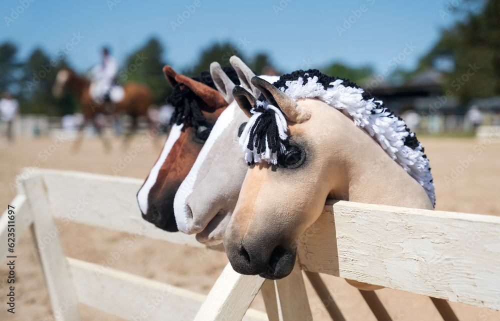 Hobby horses on sale