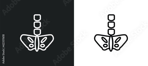 pelvic area icon isolated in white and black colors. pelvic area outline vector icon from medical collection for web, mobile apps and ui.