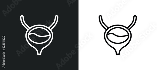 bladder icon isolated in white and black colors. bladder outline vector icon from medical collection for web, mobile apps and ui.