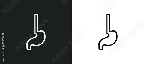 esophagus icon isolated in white and black colors. esophagus outline vector icon from medical collection for web, mobile apps and ui.