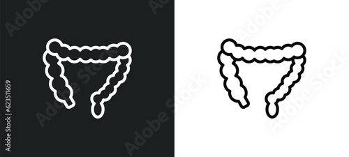 colon icon isolated in white and black colors. colon outline vector icon from medical collection for web, mobile apps and ui.