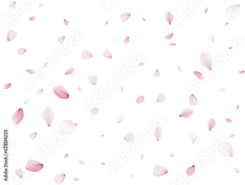 Flying Spring Cherry.
