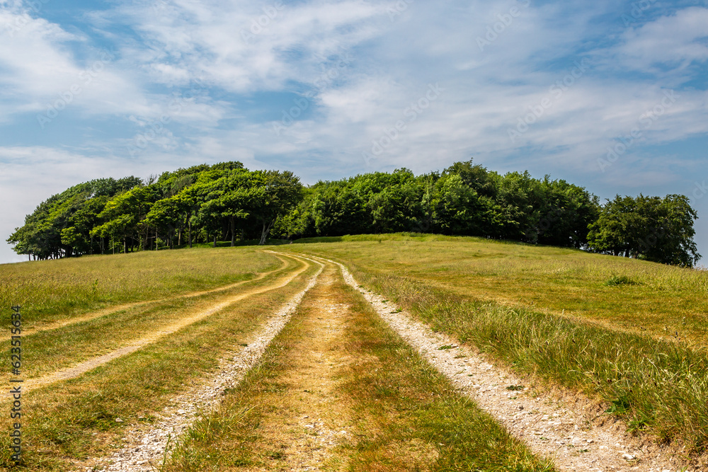 Looking along a trail leading to Chanctonbury Ring in the South Downs, on a sunny summer's day Looking along a trail leading to Chanctonbury Ring in the South Downs, on a sunny summer's day