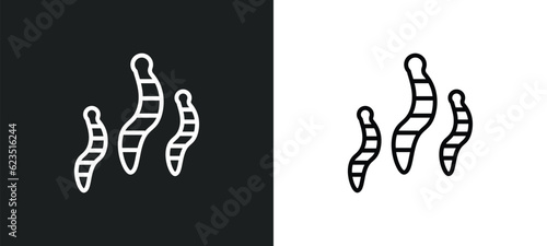 worms icon isolated in white and black colors. worms outline vector icon from food collection for web, mobile apps and ui.