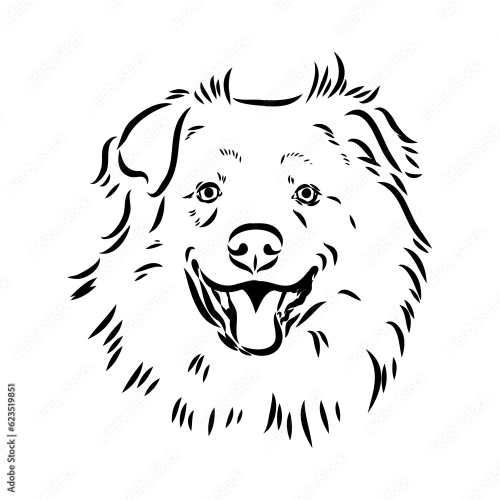 Vector isolated one single Australian Shepherd dog head black and white bw two colors silhouette. Template for laser engraving or stencil Vector isolated one single Australian Shepherd dog head black and white bw two colors silhouette. Template for laser engraving or stencil