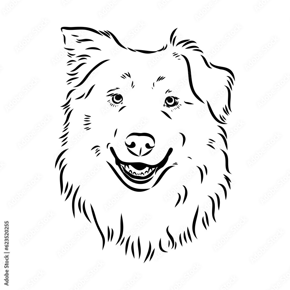 Vector isolated one single Australian Shepherd dog head black and white bw two colors silhouette. Template for laser engraving or stencil