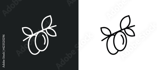 olives on a branch icon isolated in white and black colors. olives on a branch outline vector icon from ecology collection for web, mobile apps and ui.