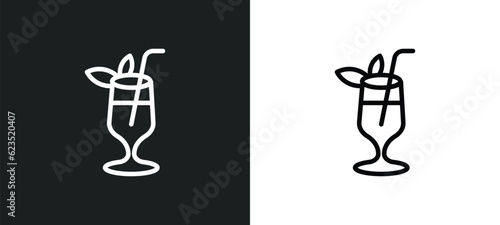 tropical itch icon isolated in white and black colors. tropical itch outline vector icon from drinks collection for web, mobile apps and ui.