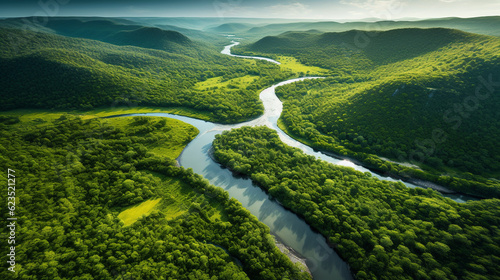 A stunning aerial photograph of a winding river snaking through a lush green landscape  showcasing the beauty of nature s curves Generative AI