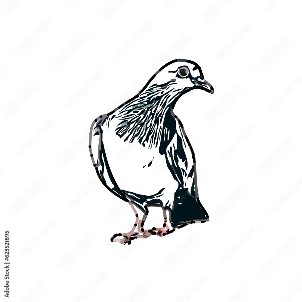 Fototapeta premium sketch of a dove with transparent background