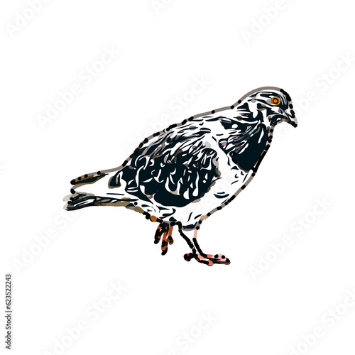 sketch of a dove with transparent background