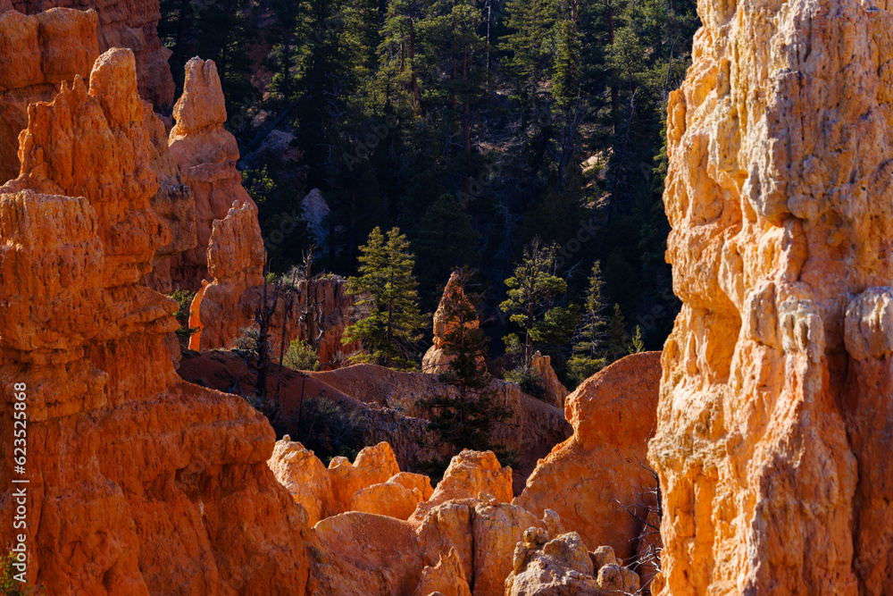 Rock formations and hoodoo’s from Fairyland Canyon in Bryce Canyon National Park in Utah during spring.
Rock formations and hoodoo’s from Fairyland Canyon in Bryce Canyon National Park in Utah during spring.