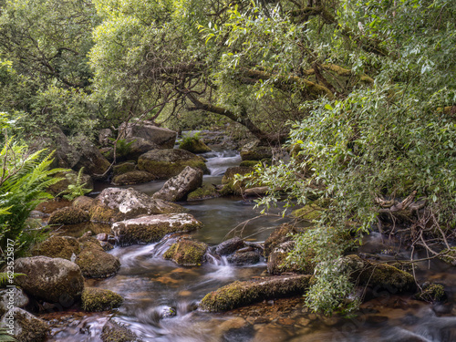Typical Dartmoor woodland stream, long exposure.