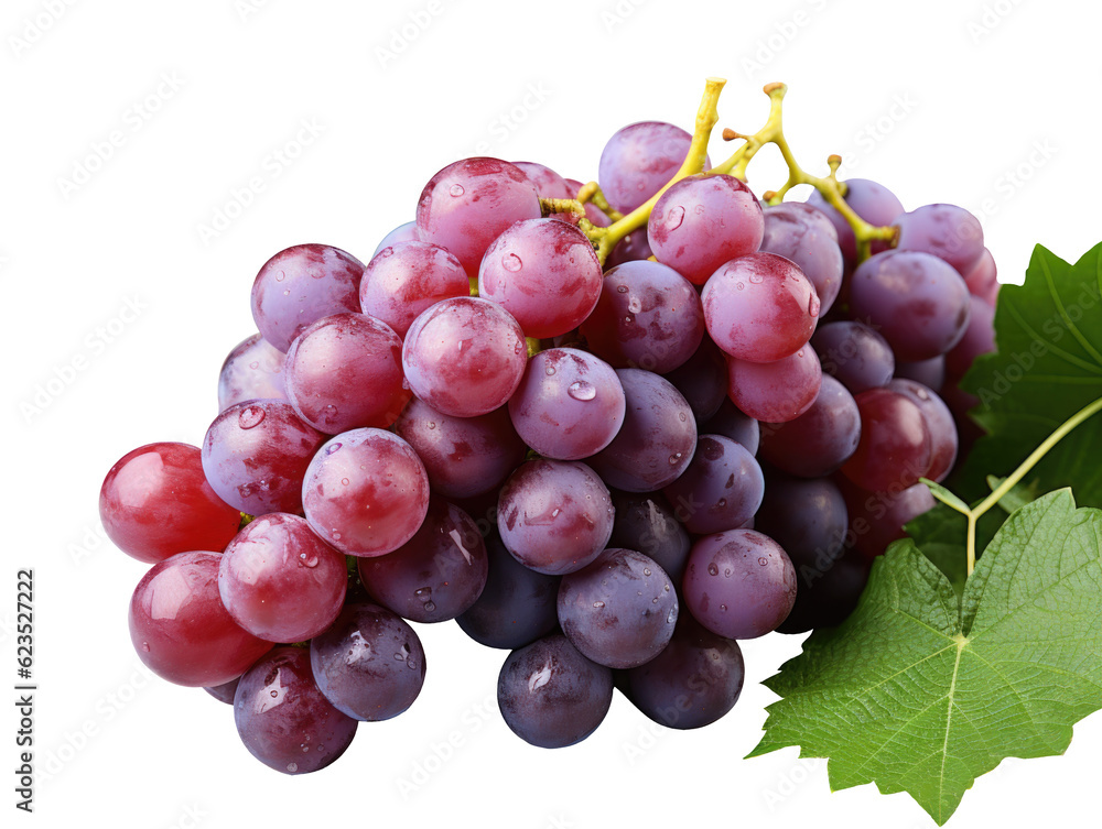 violet grapes isolated on transparent background. png grape. clip art. Ripe red wet grape with drops violet grapes isolated on transparent background. png grape. clip art. Ripe red wet grape with drops