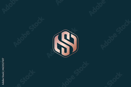 ns lettering typography illustration, ns lettering, sn logo design for company