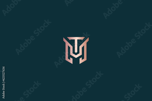 tm lettering typography illustration, tm golden lettering, mt creative logo design for company