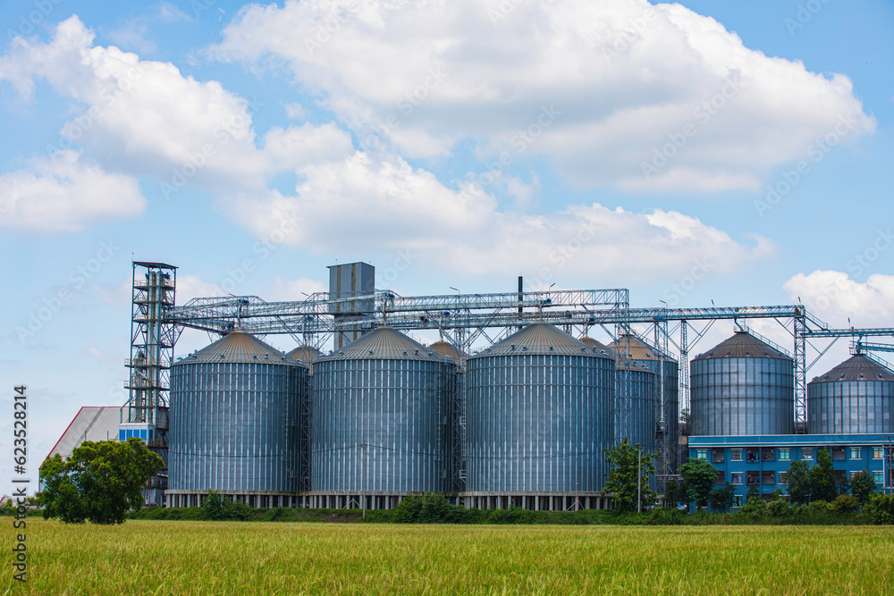 Plant for the drying and storage stainless silo grain. Rice plant in the middle of fields. Plant for the drying and storage stainless silo grain. Rice plant in the middle of fields.