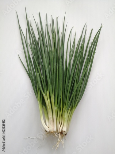 Spring onions, also known as scallions, possess a distinctive appearance with long, slender green leaves and a bulbous white stem