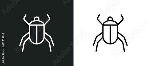 beetle icon isolated in white and black colors. beetle outline vector icon from animals collection for web, mobile apps and ui.