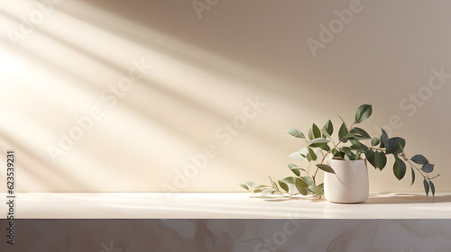 3D rendering of a white marble shelf with an eucalyptus plant