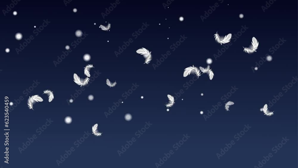 falling wings 4k, feather falling wings 4k, feather