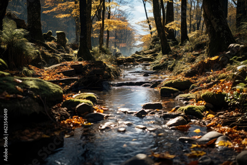 Autumn forest landscape, orange golden foliage, fall wallpaper, AI Generated