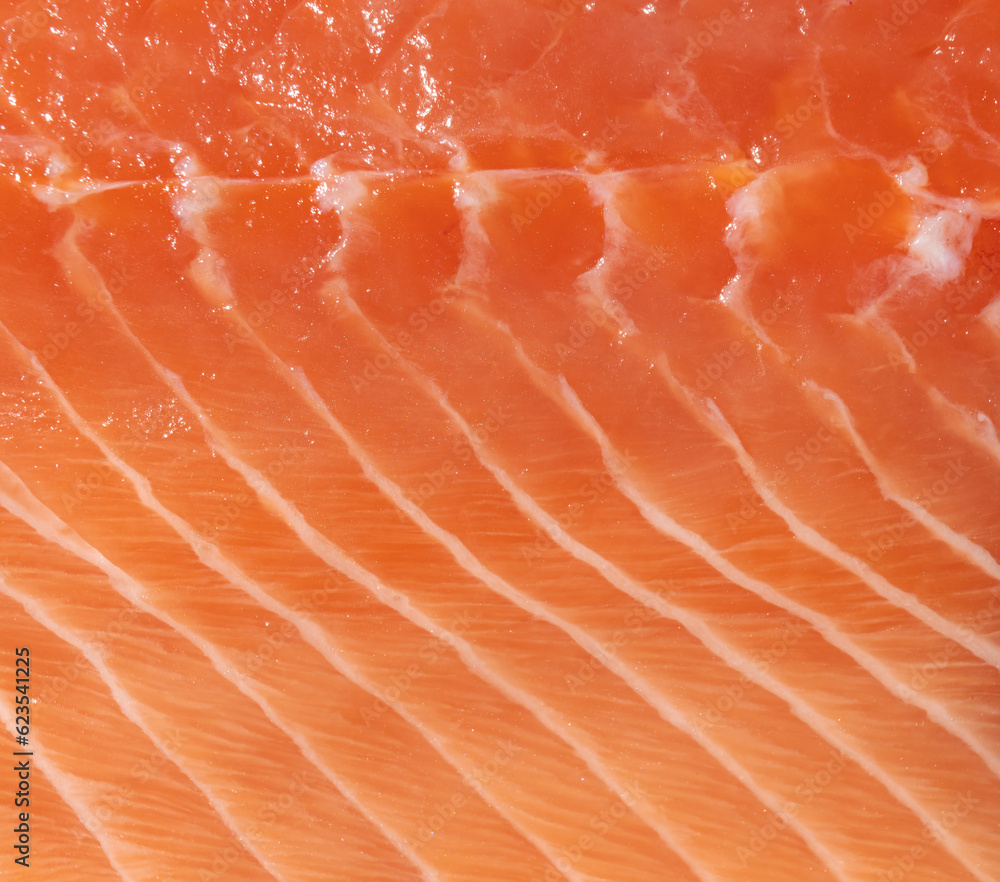 A piece of red fish in close-up. trout fillet, salmon. fish background