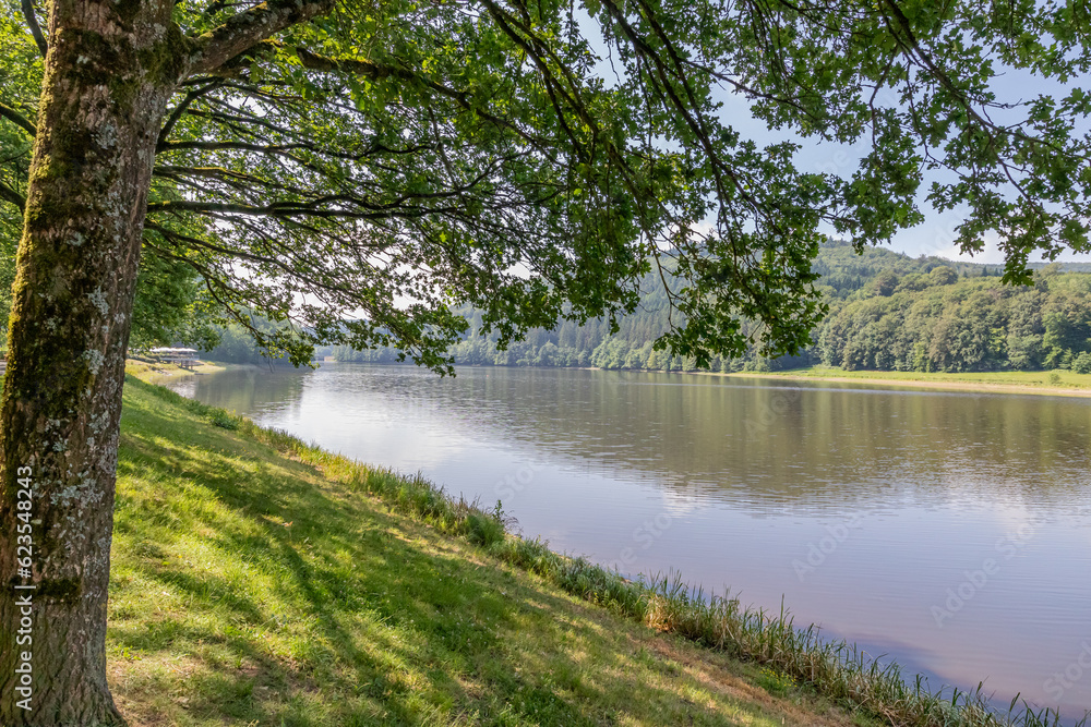 Shore of Lake Stausee Bitburg framed by a tree trunk with branches with green foliage, mountains with abundant leafy trees in misty background, sunny summer day with blue sky in Germany