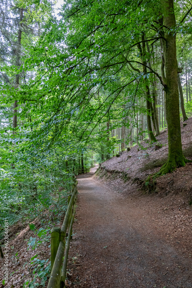 Lakeside circuit by Stausee Bitburg, hiking path between rocky slope and a wooden fence, surrounded by abundant wild vegetation and trees with green foliage, sunny spring day in Germany Lakeside circuit by Stausee Bitburg, hiking path between rocky slope and a wooden fence, surrounded by abundant wild vegetation and trees with green foliage, sunny spring day in Germany