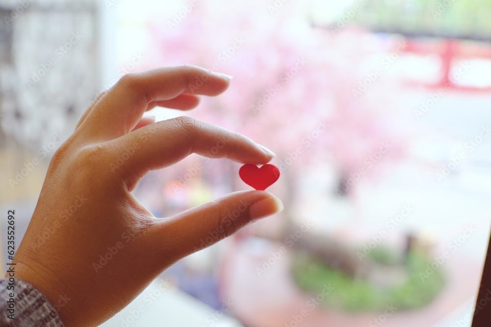 Valentine day love concept. Red Hart in hand with copy space. Valentine day love concept. Red Hart in hand with copy space.