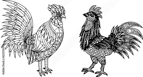 rooster isolated on white background